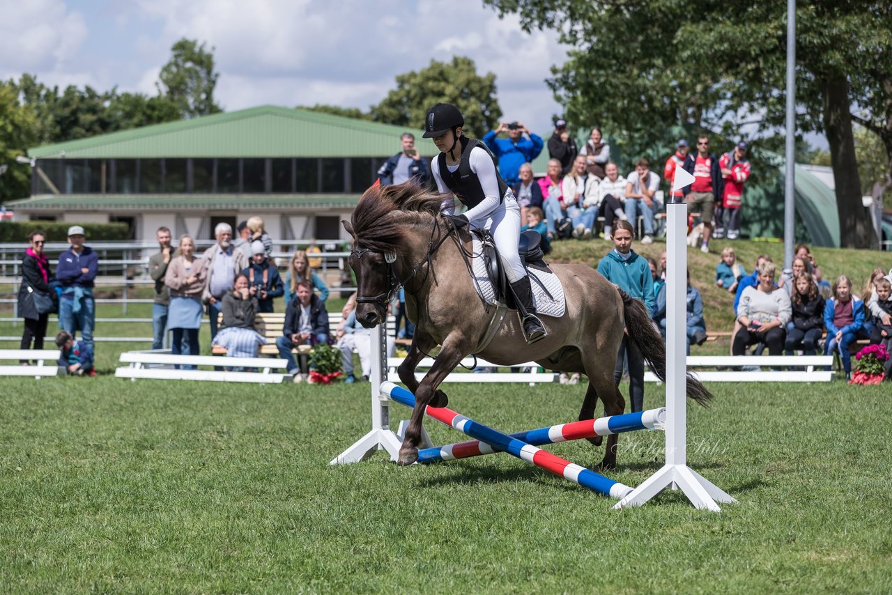 Bild 38 - Pony Akademie Turnier